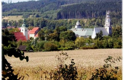 Międzylesie – Szubieniczna - miejsce straceń, czyli od zbrodni do kary.
