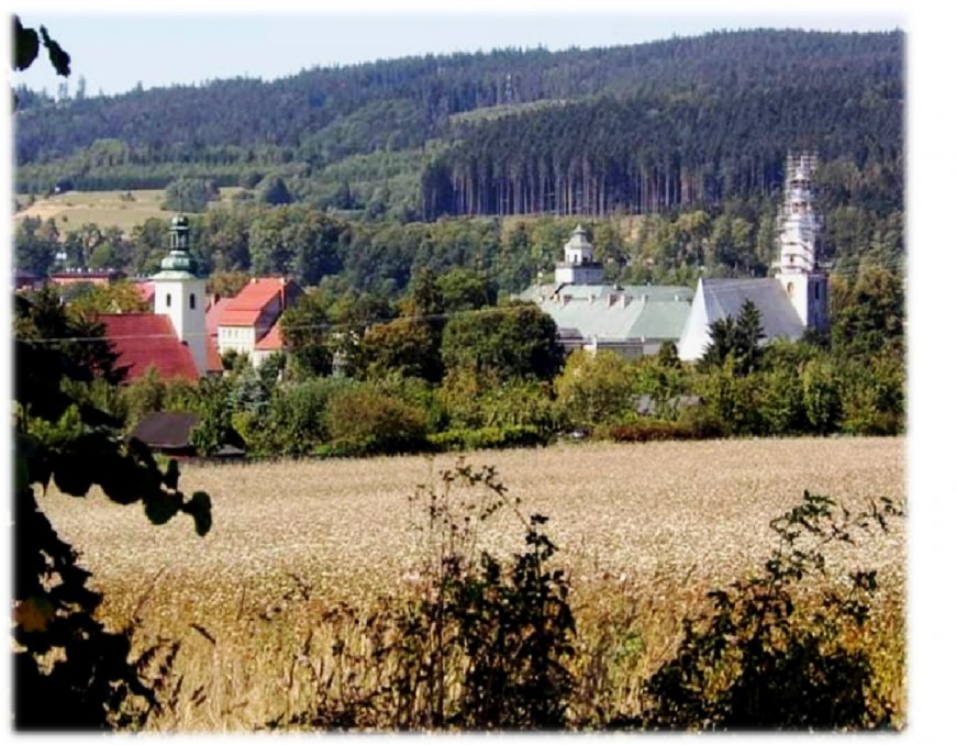 Międzylesie – Szubieniczna - miejsce straceń, czyli od zbrodni do kary.