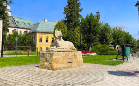 Wilk międzyleski (Canis lupus Miedzylesiensis)