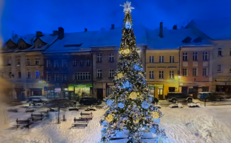 Bystrzycka choinka 2025 3D